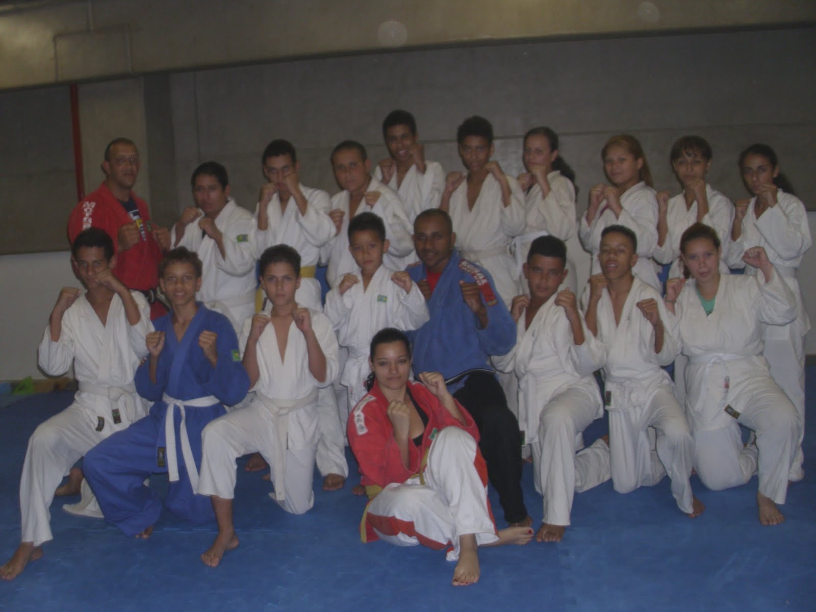 Ju Jitsu Brasiliano Teoria E Tecnica