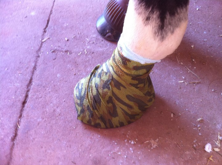 Top Flight Farm Home Remedies to Help Stretch Your Horse Dollar