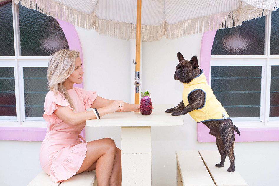 Wilko Pet Care Dog Cooling Vest Australian Dog Lover