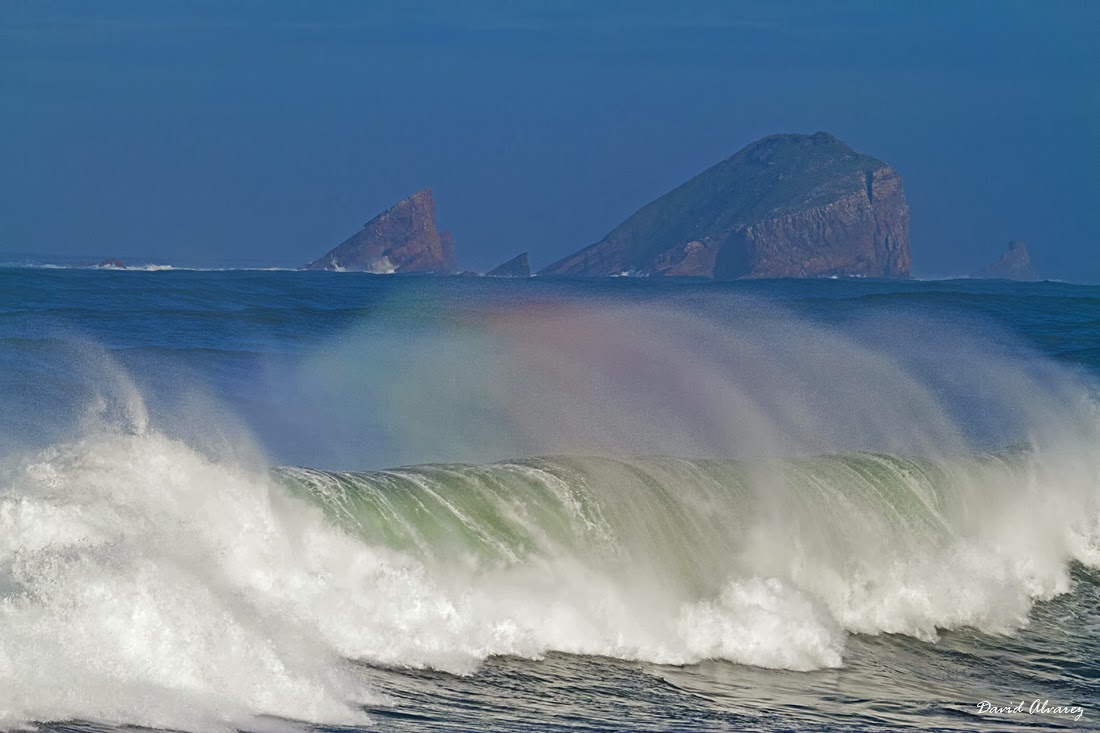 La fuerza de la mar La fuerza de la mar