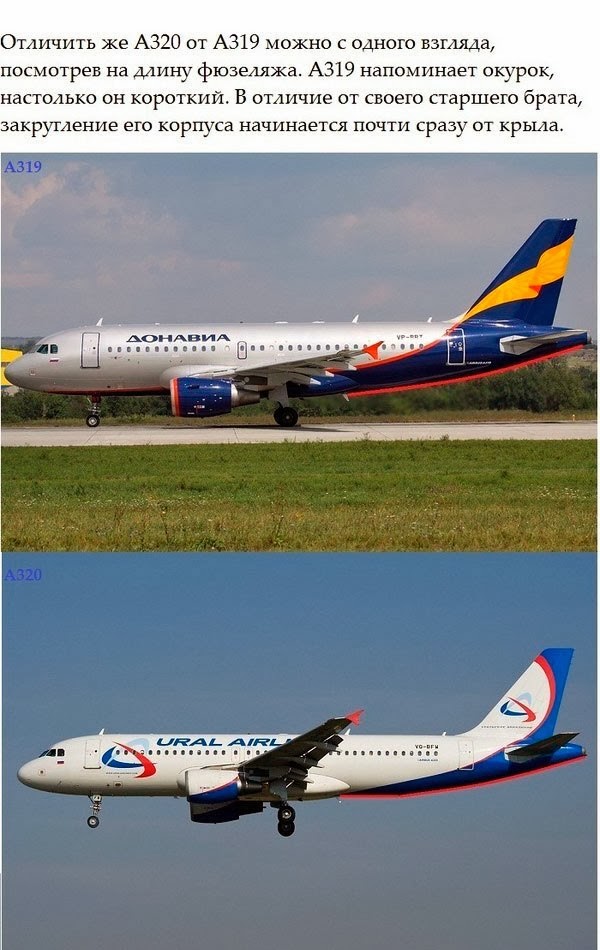 Как отличить самолеты. Отличия самолетов. Как распознать самолет. Как различать самолеты. А319 и а320 отличия.