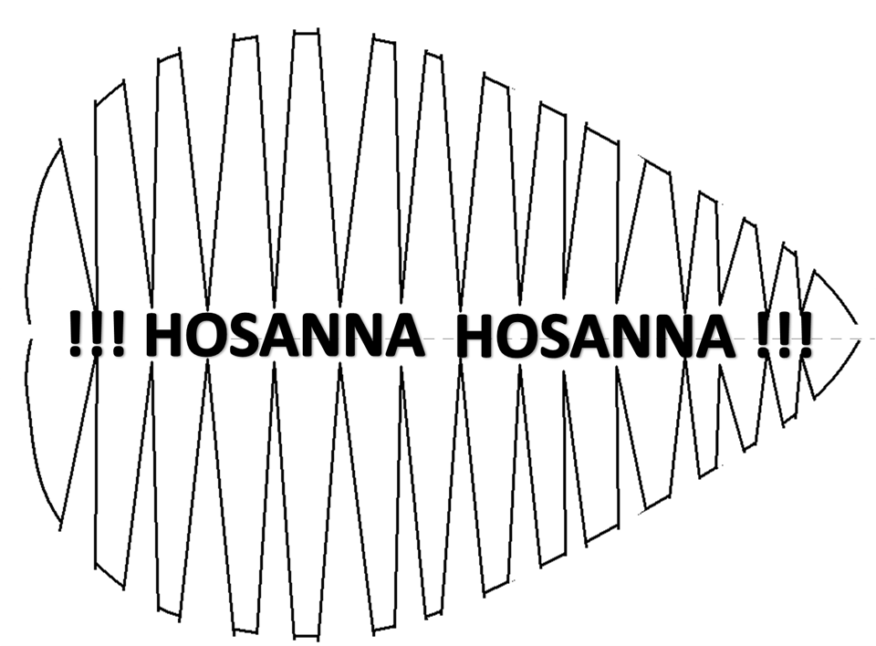 palma olivo palma olivo