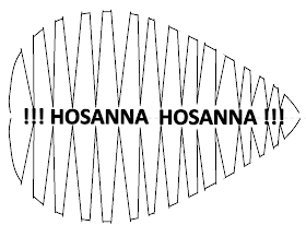 palma olivo palma olivo