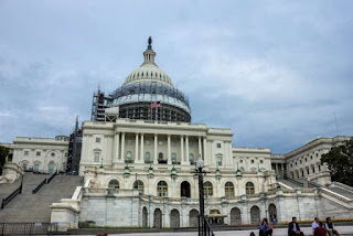view of Congress