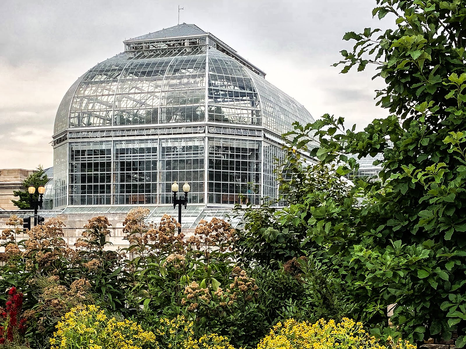 Walking Arizona United States Botanic Garden Conservatory, Washington, DC