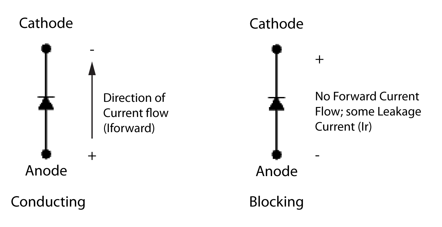 Led Diode Anode Cathode _ LED Light Anode and Cathode: Understanding ...