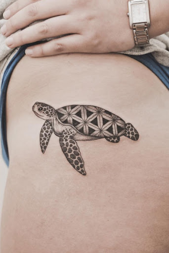 Essa tartaruga do mar