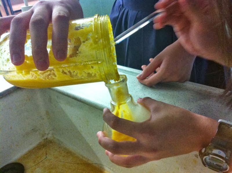 Go Green D Extracting Limonene from Orange Peel