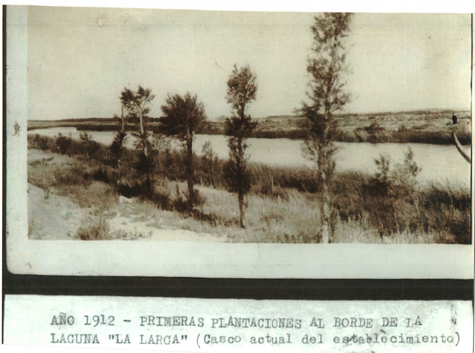 GEOGRAFÍA JAHUE: FOTOS ANTIGUAS DE LA CIUDAD DE PLOTTIER