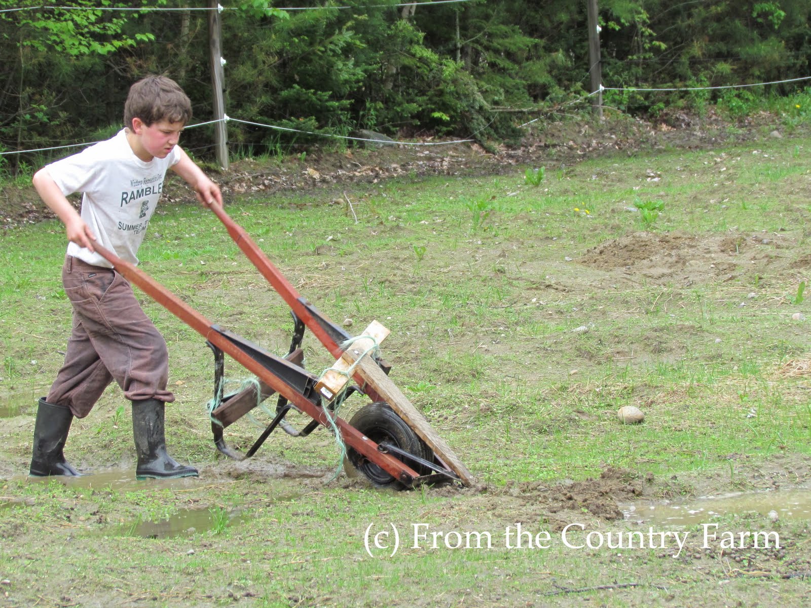 From the Country Farm Necessity is the mother of invention...