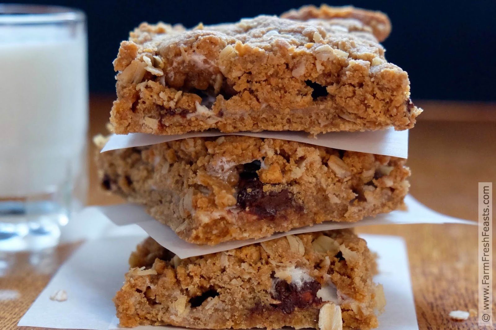 Farm Fresh Feasts S'moresfilled Peanut Butter Oatmeal Blondies