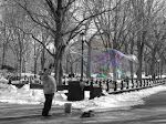 Une bulle de savon à Central Park