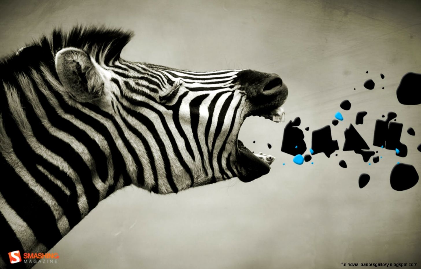 Cartoon Zebra Desktop Wallpaper