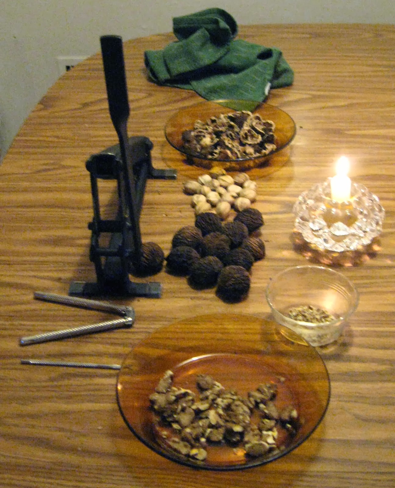 Back in the Car Again A better nutcracker Black walnuts and hickory