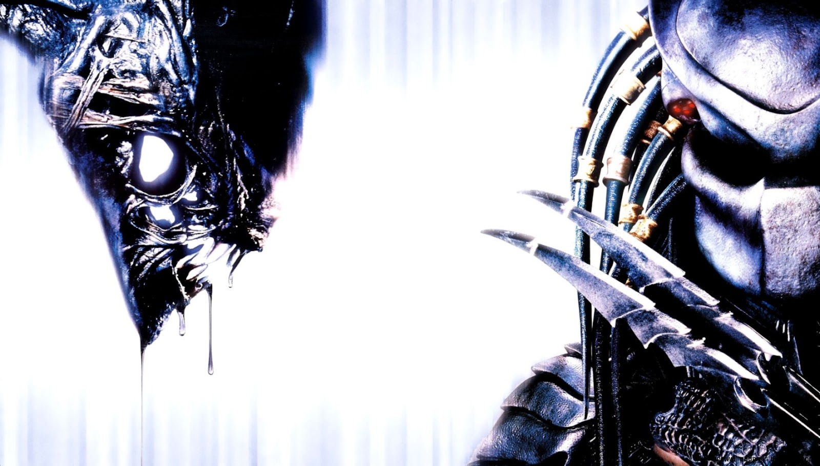 AVP Alien vs Predator