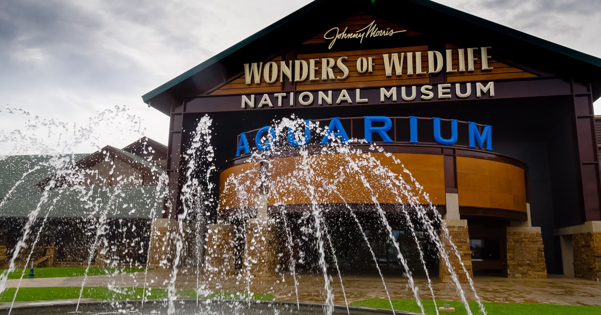 Our Eyes Upon Missouri Wonders of Wildlife National Museum, Springfield