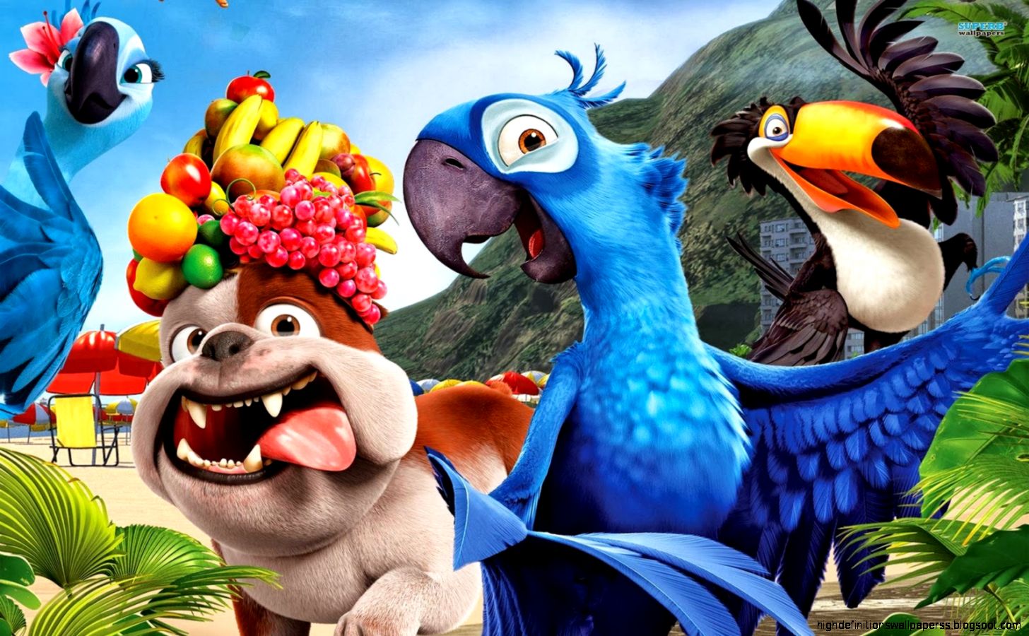 Rio Cartoon Movie