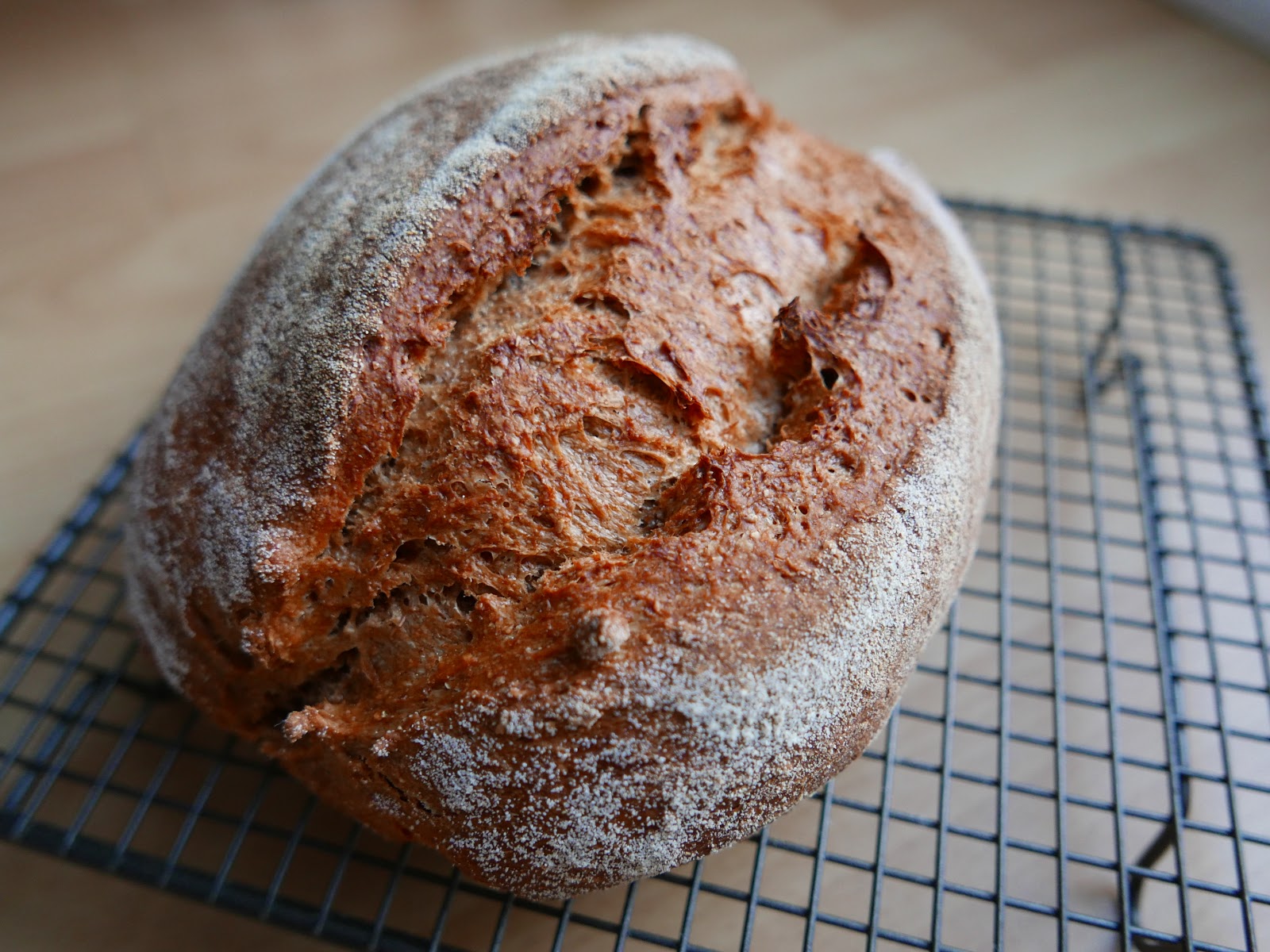 Four seasons. Sourdough Rye Bread with molasses and chocolate.