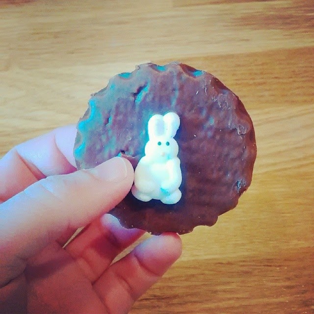 bunny biscuit