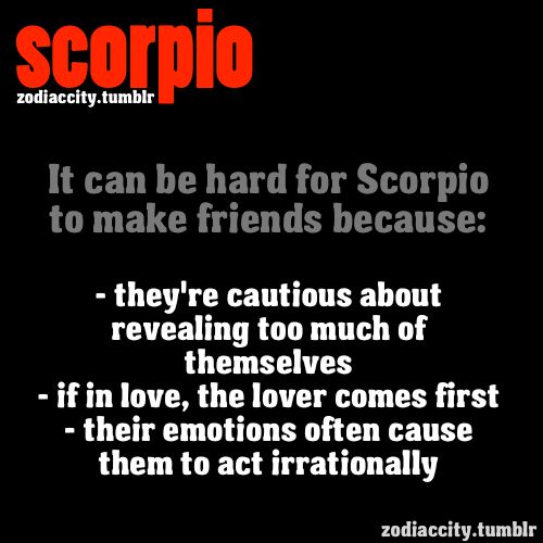 Can 2 scorpios be good friends?