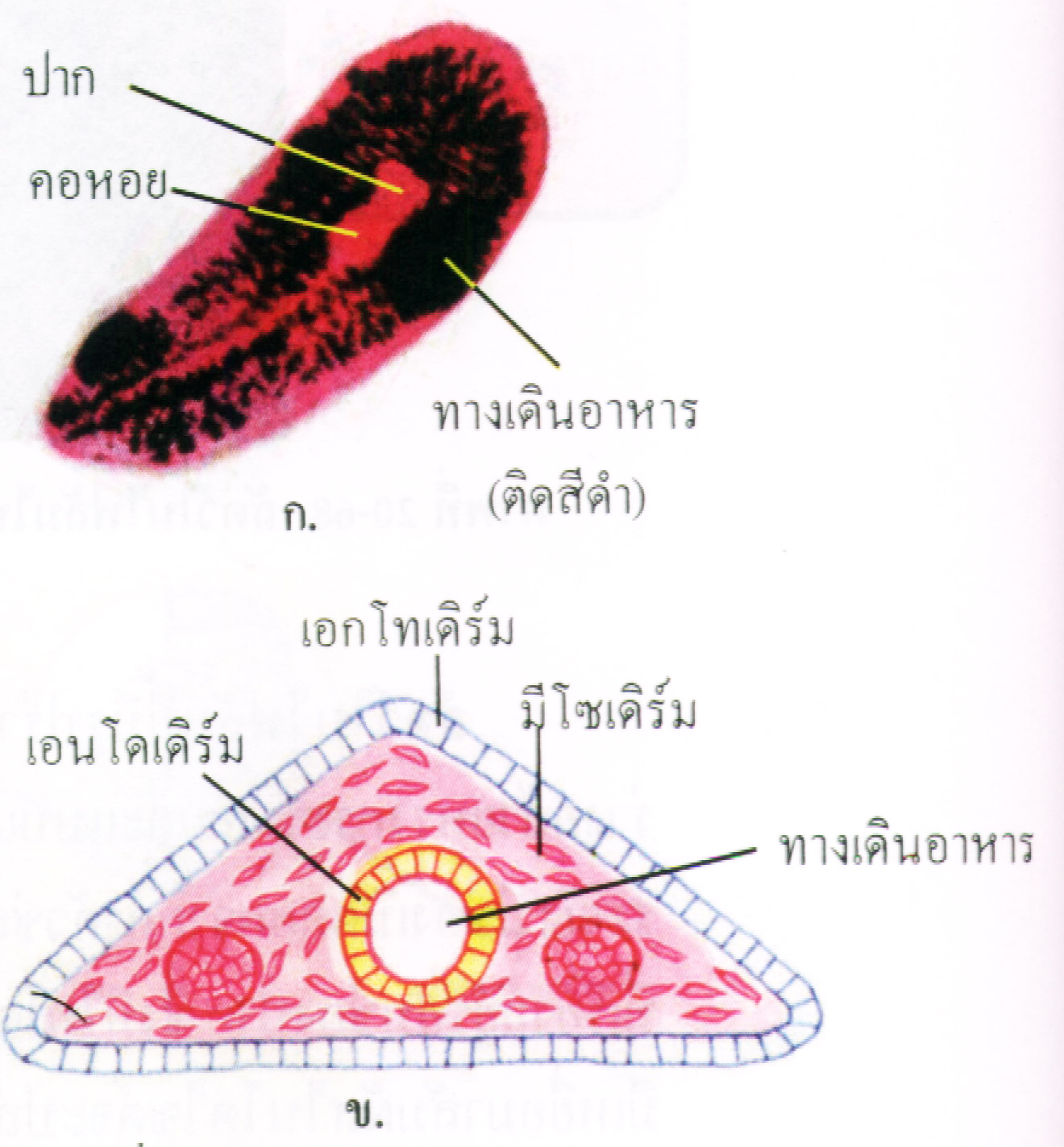 My Image 5