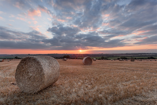 Warm light fills the Cotswold landscape at sunset by Martyn Ferry Photography