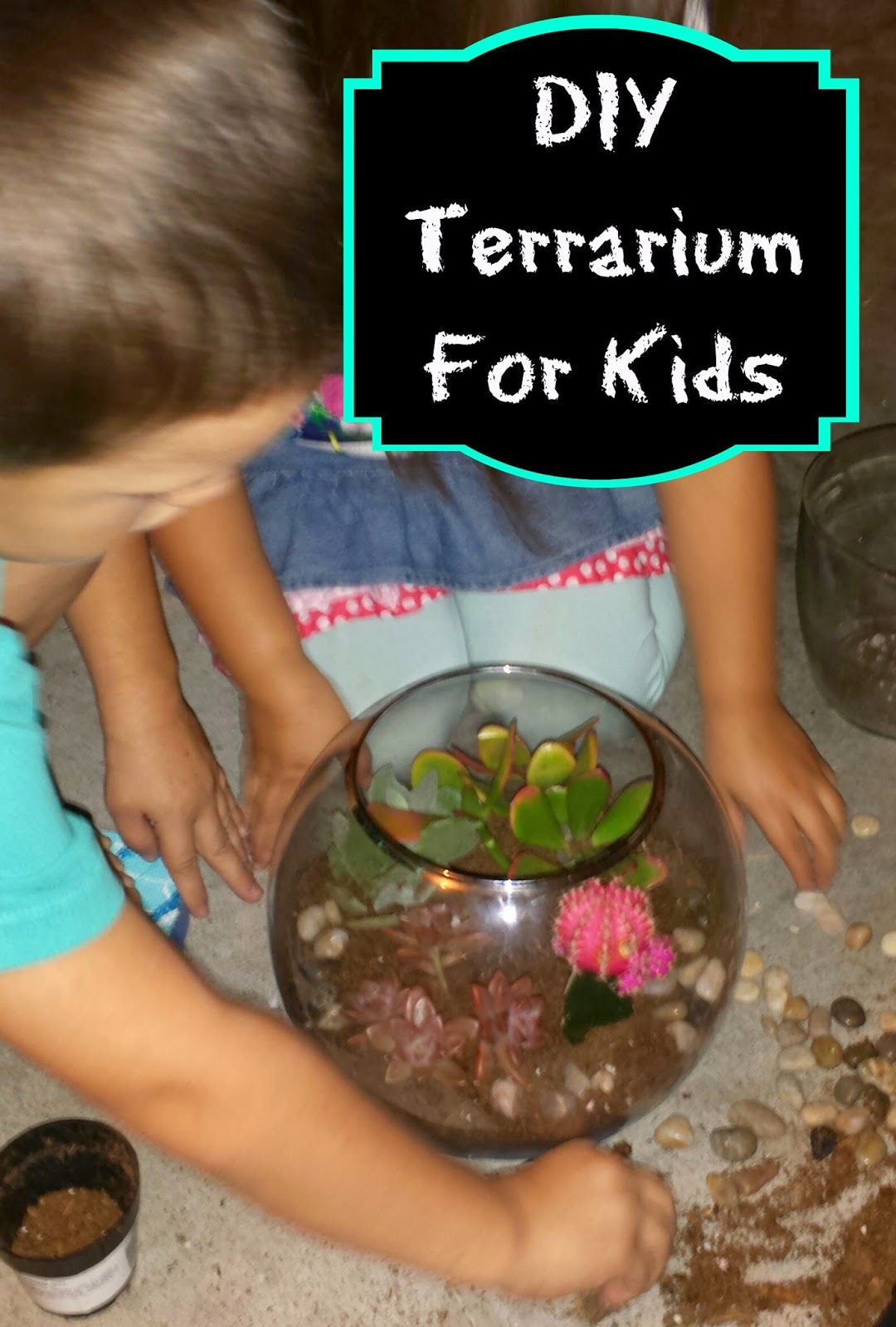 One Seriously Beautiful Life DIY Terrarium For Kids