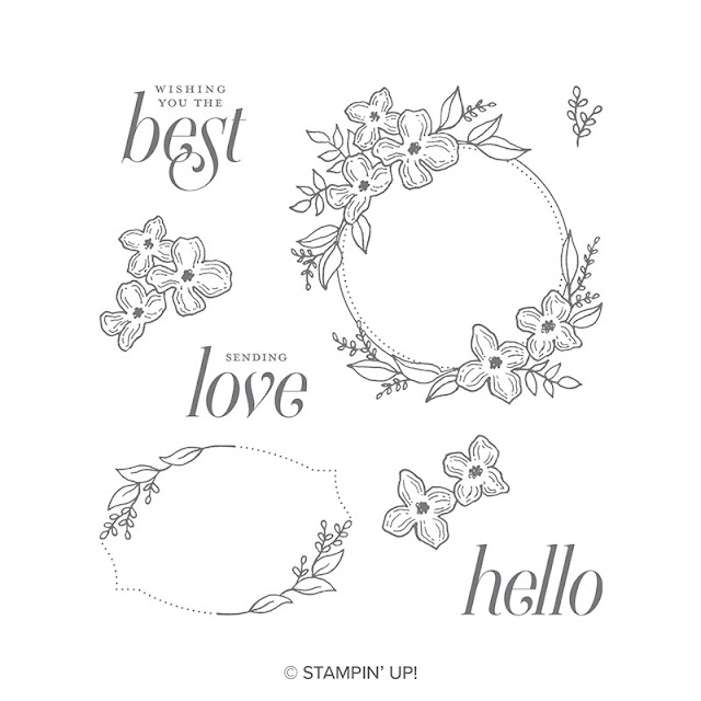 https://www2.stampinup.com/ECWeb/product/146508/floral-frames-clear-mount?dbwsdemoid=5001803