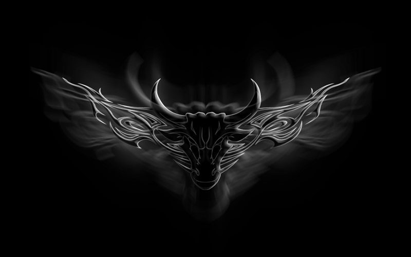 Bulls HD Wallpapers - HDWallpapers360 | HD Wallpapers Free Download