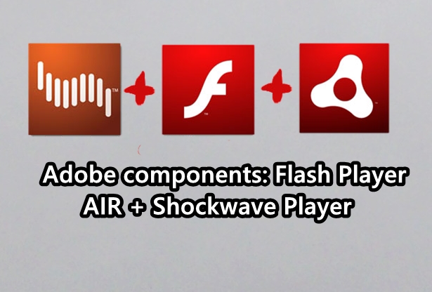  Adobe components: Flash Player + AIR + Shockwave Player