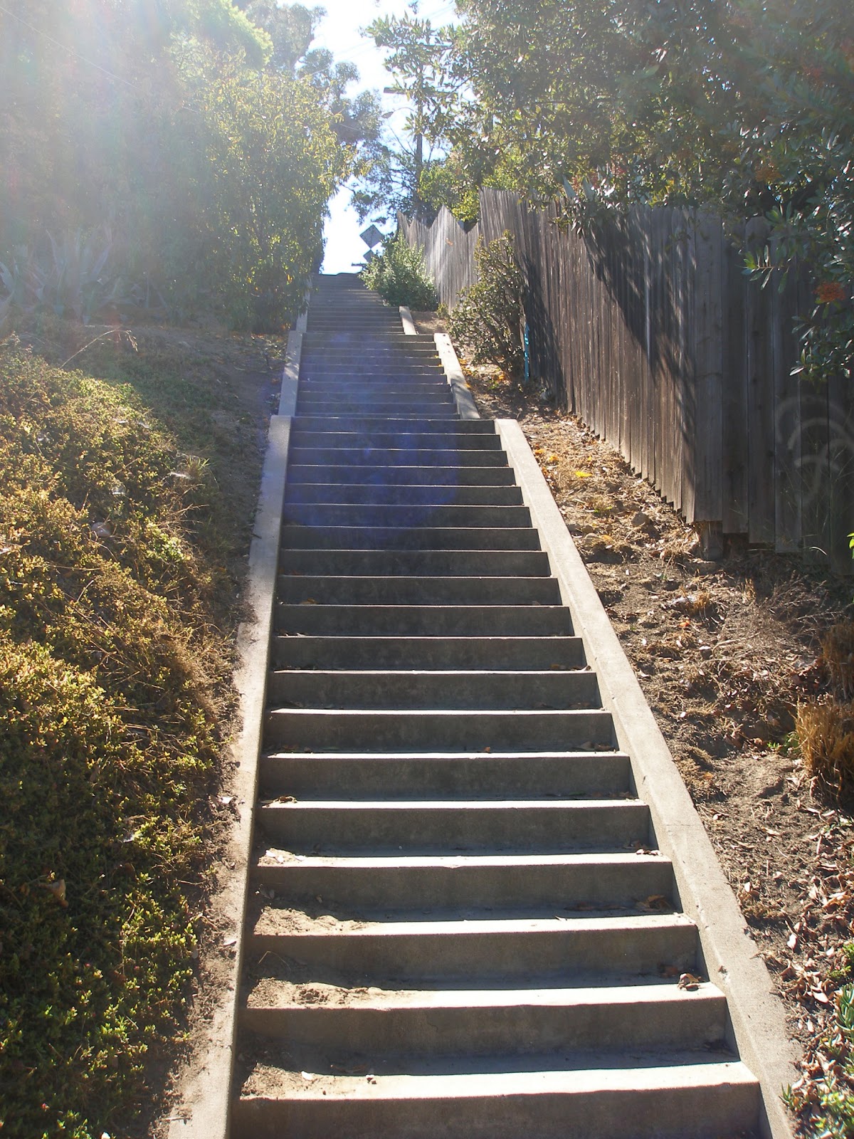 Los Angeles Climbing the Hidden Stairways Staircases in Silver Lake