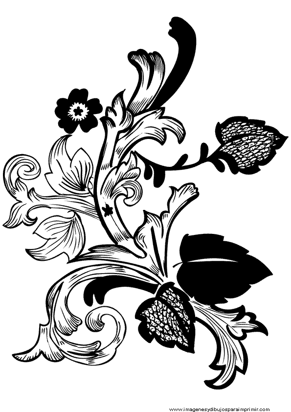 Imagenes de flores en blanco y negro-Colorear dibujos,letras, Actividades  infantiles