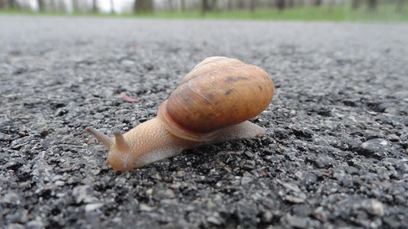 Life at the Blue Rock Ranch Slow as Molasses