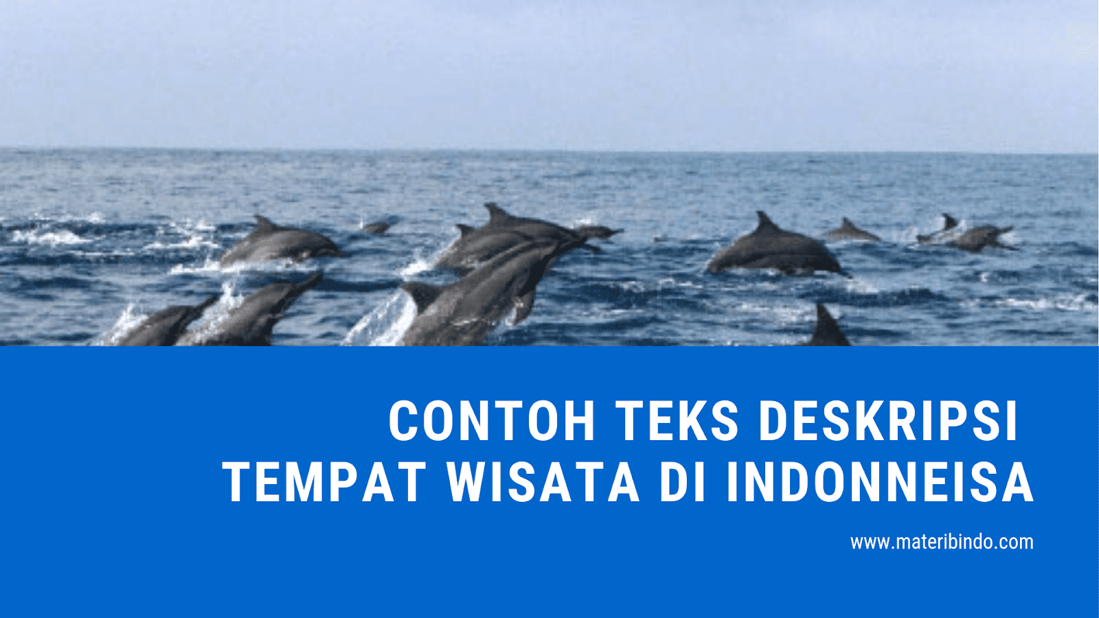 Contoh Teks Deskripsi Tentang Tempat Wisata Beserta Strukturnya