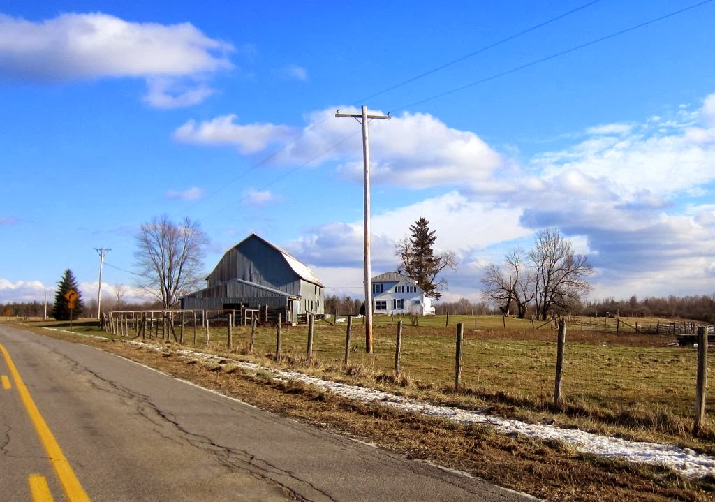 Windswept Adventure County Route 50, Along The Deer River In Brasher