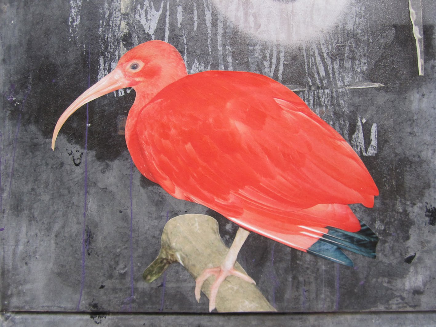 http://urban-escapades.blogspot.com: Sweden's birds (migrate to Stockholm)