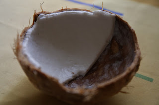 - than coconut shell might be used as a bowl