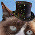 Happy New Year from Grumpy Cat