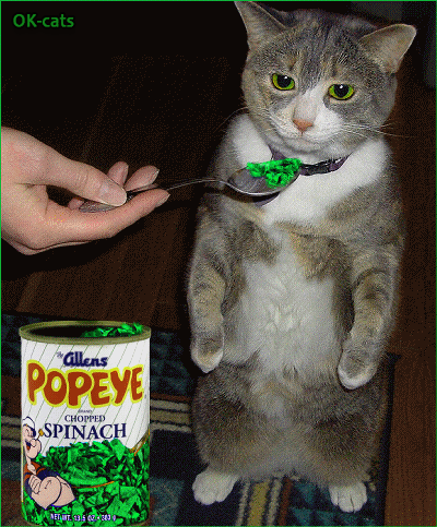 Art Cat GIF with caption • "DO NOT WANT!". When Kitty doesn't want to eat spinach. "I’m not Popeye's Cat!" Art Cat GIF with caption • "DO NOT WANT!". When Kitty doesn't want to eat spinach. "I’m not Popeye's Cat!"