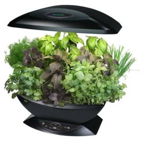 Diario de un granjero de ciudad: Acuaponia y diseño de interiores