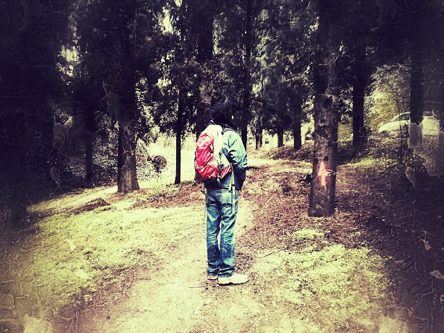 walk of Life - Verona, Italy