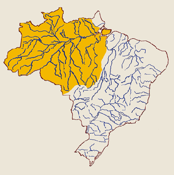 ESTUDOS DE GEOGRAFIA: HIDROGRAFIA DA AMAZÔNIA