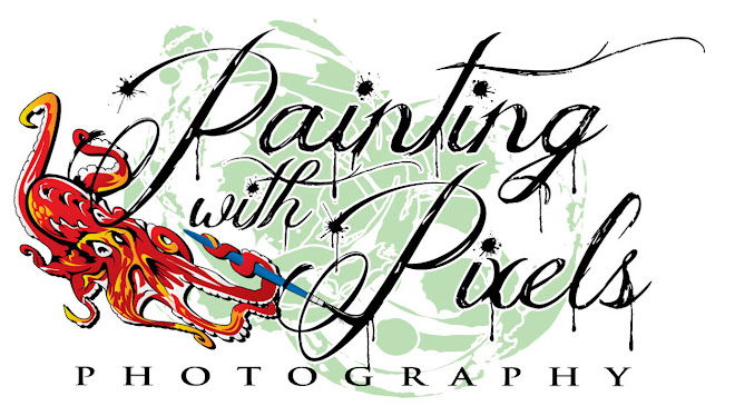 Painting With Pixels Photography