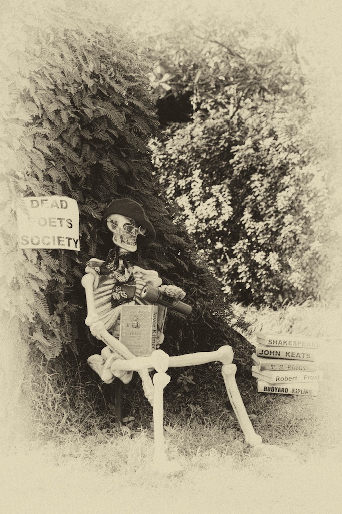 Hobo Camp Review: A Hobo Halloween Tree