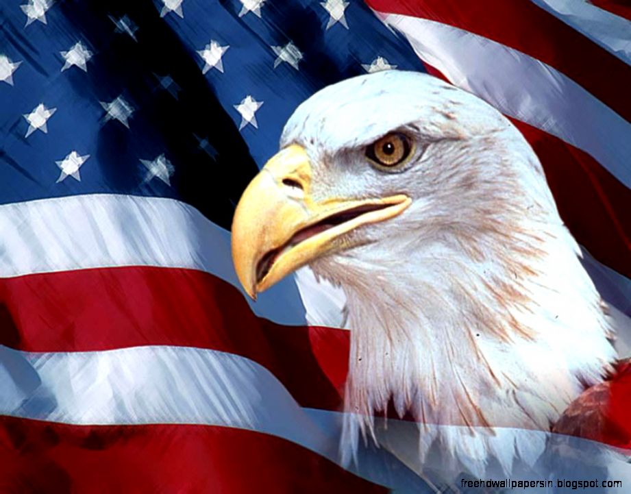 American Eagle 1920x1200px Wallpaper  313538