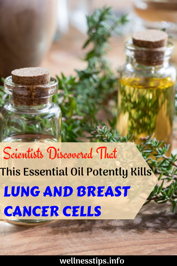 Scientists Discovered That This Essential Oil Potently Kills Lung And ...