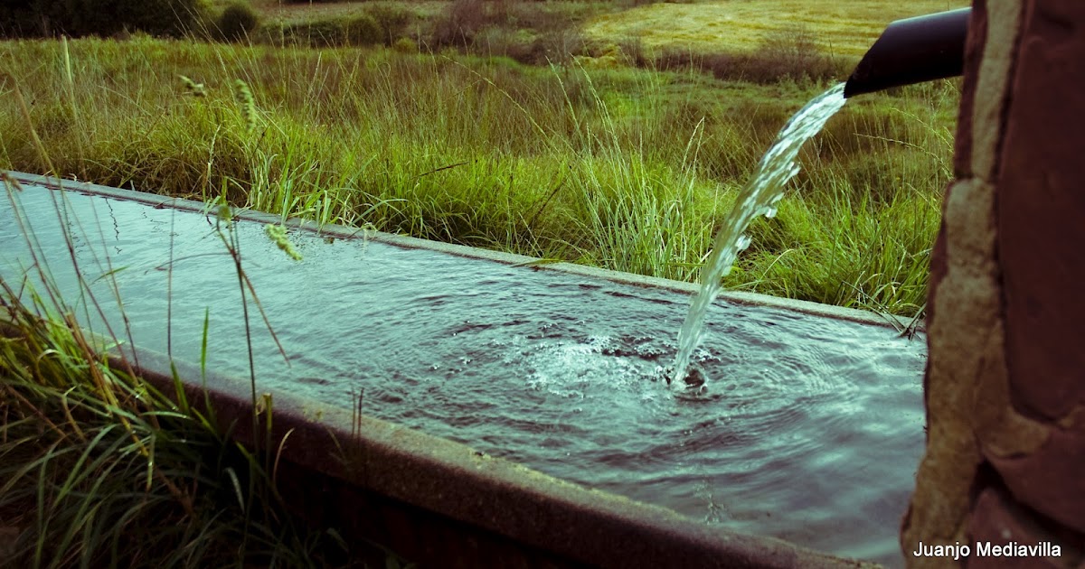 Abrevadero ~ Fotografía Juanjo Mediavilla