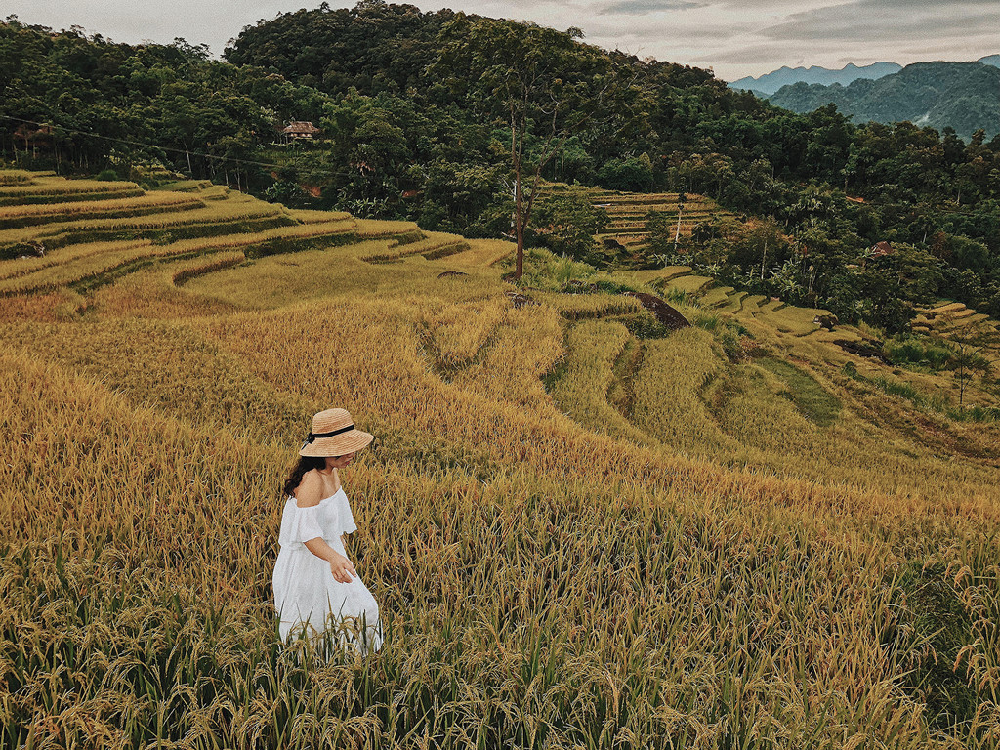 Kinh nghiệm du lịch Pù Luông Thanh Hóa 2 ngày 1 đêm mùa lúa chín