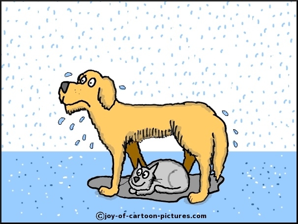 free clipart raining cats and dogs - photo #42