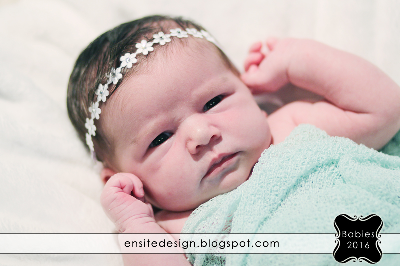 EnSite Design Jenny Speights Saucier Family 2016